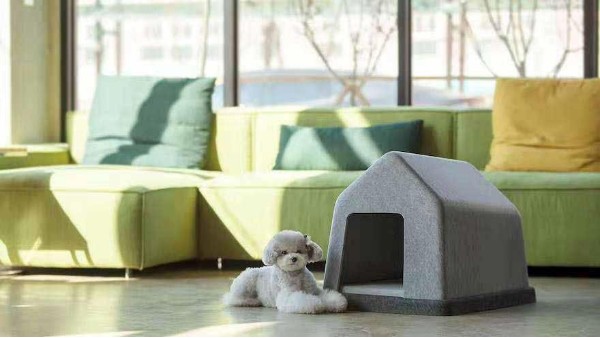 淘寶發(fā)布《雙12萌寵消費(fèi)新趨勢》：寵物用品銷售異軍突起