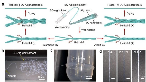 新型仿生增強增韌納米復(fù)合纖維材料
