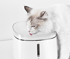 寵物飲水機(jī)過濾棉可用于寵物飲水機(jī)