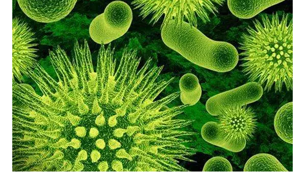 以色列抗菌涂層技術(shù)可用于醫(yī)用紡織品處理